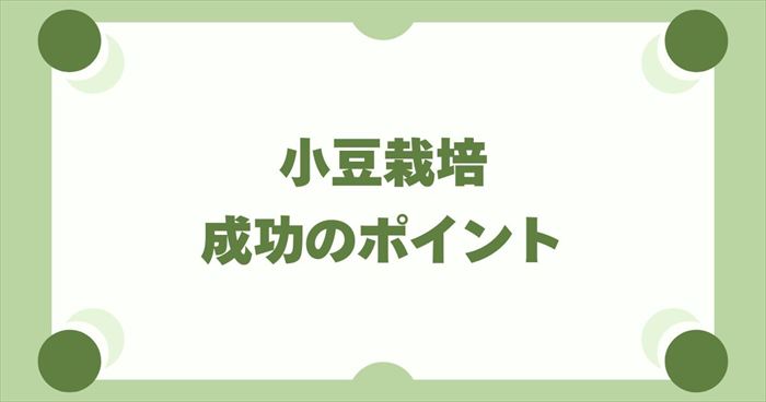 失敗を防ぐ！小豆栽培を成功させるための重要ポイント