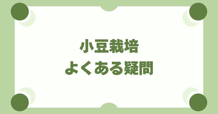 小豆栽培でよくある疑問とトラブル対策
