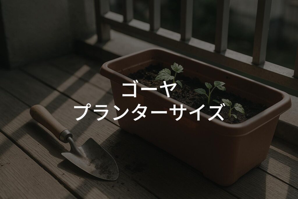ゴーヤのプランターサイズは何号が正解？初心者向け解説