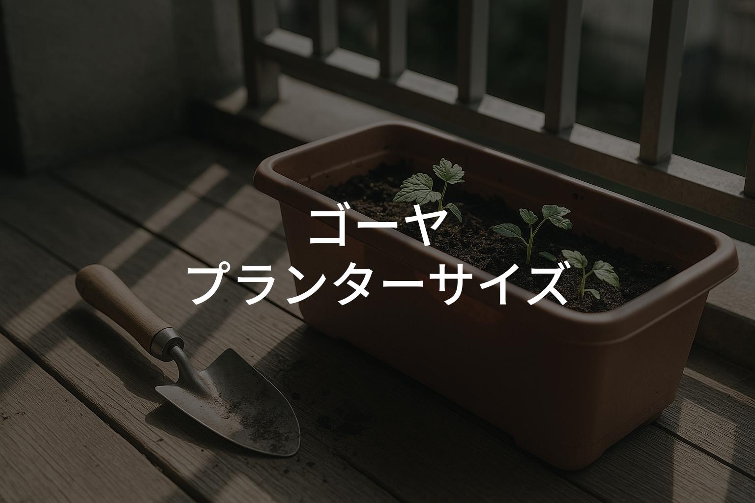 ゴーヤのプランターサイズは何号が正解？初心者向け解説