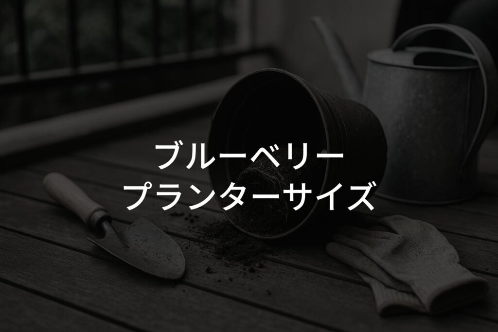 ブルーベリーのプランターサイズの目安は？植え替え時期と注意点