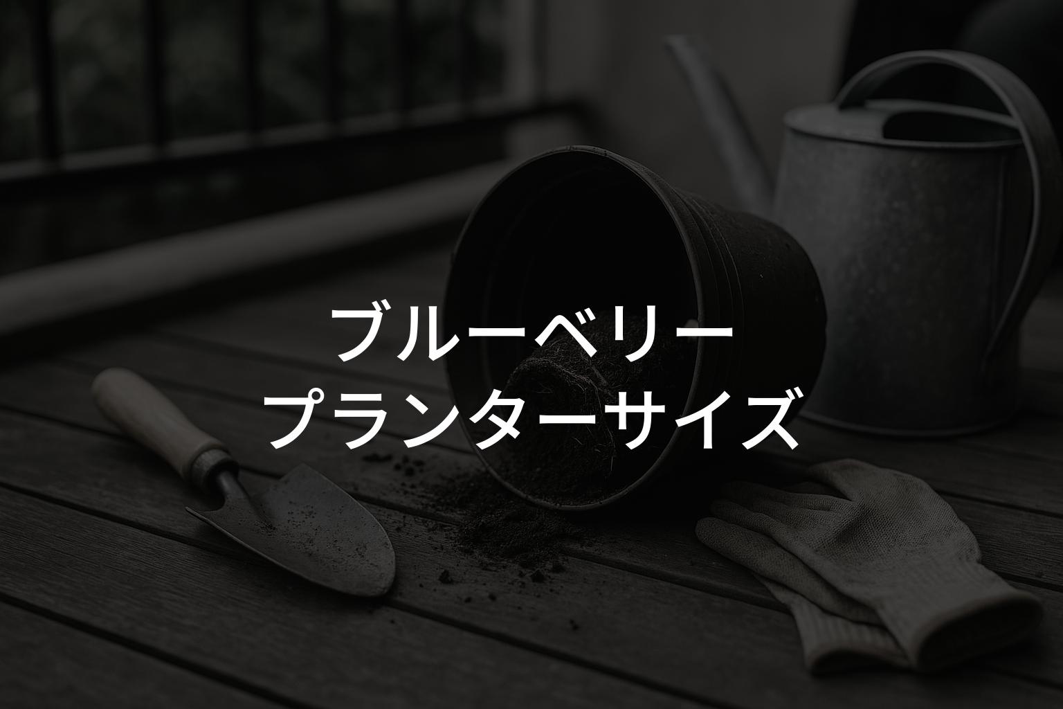 ブルーベリーのプランターサイズの目安は?植え替え時期と注意点