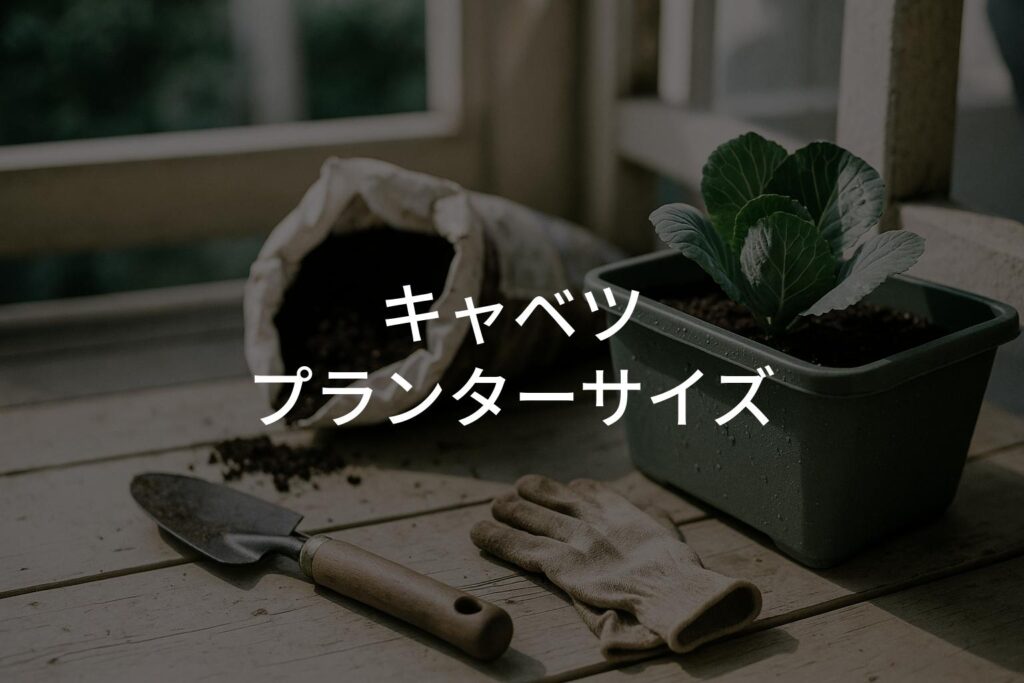 キャベツのプランターサイズ選びの基本！失敗しない栽培準備