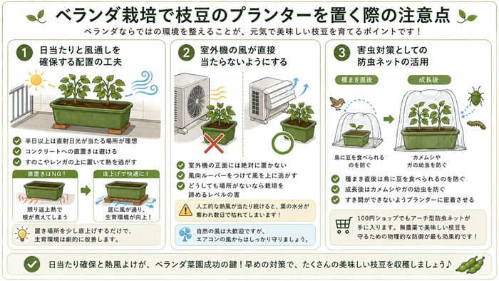 ベランダ栽培で枝豆のプランターを置く際の注意点