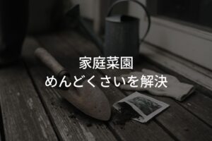 家庭菜園めんどくさいを解決！初心者でも続けられる方法