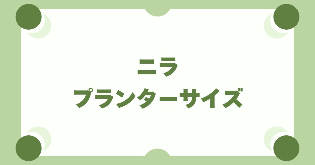 ニラ栽培で失敗しない！プランターの適切なサイズと深さの選び方