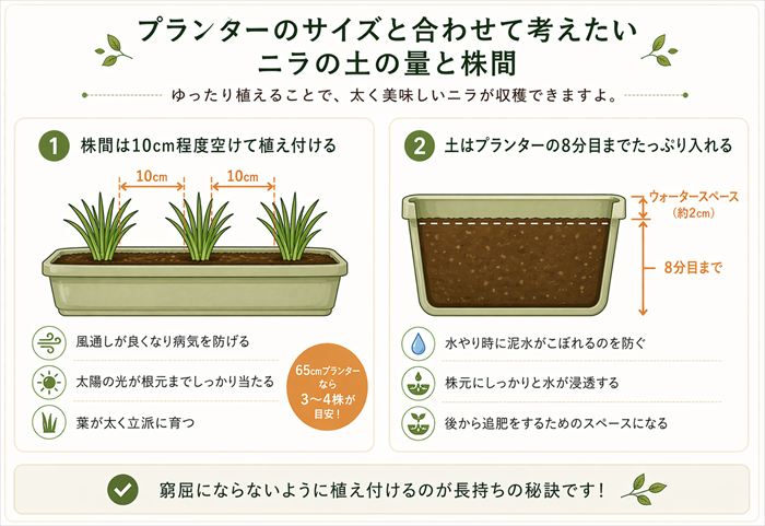 プランターのサイズと合わせて考えたいニラの土の量と株間