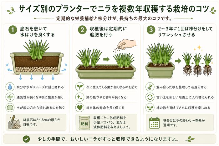 サイズ別のプランターでニラを複数年収穫する栽培のコツ