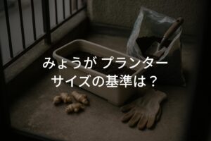 みょうが プランターサイズの基準は？初心者でも失敗しない選び方