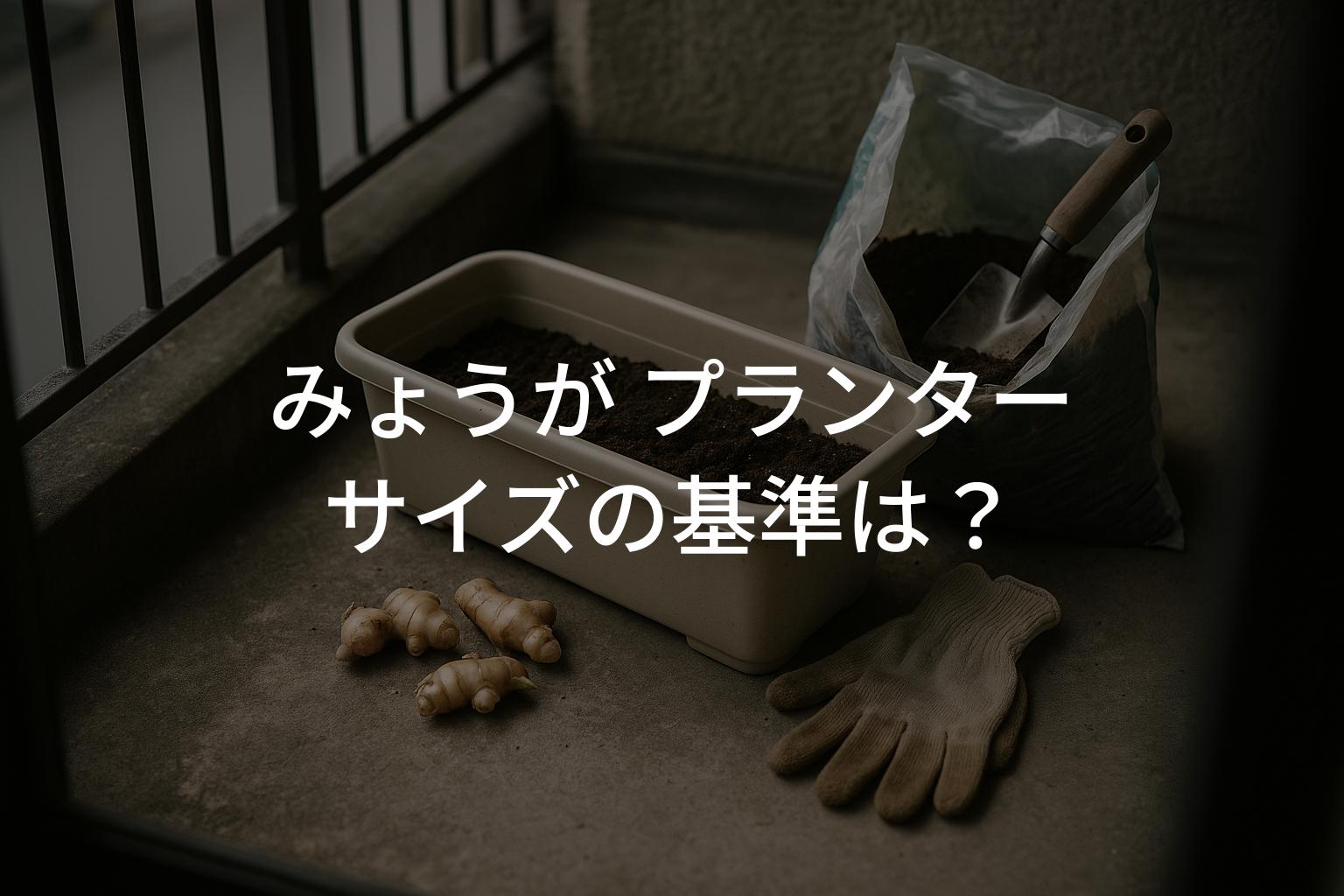 みょうが プランターサイズの基準は？初心者でも失敗しない選び方