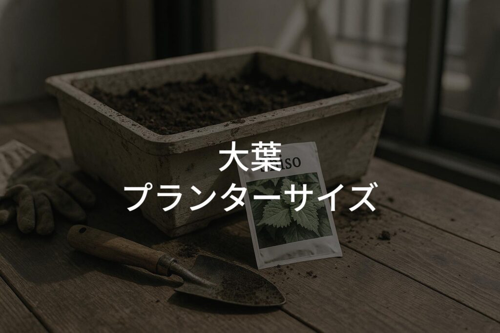 大葉のプランターサイズの正解と失敗しない選び方