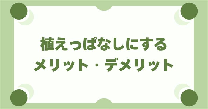 らっきょう栽培で植え替えは必要？植えっぱなしにするメリット・デメリット