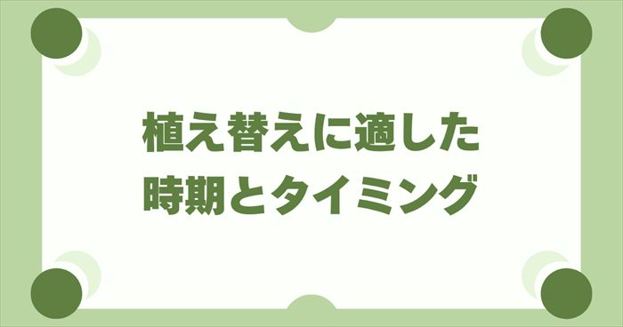 らっきょうの植え替えに適した時期とタイミング