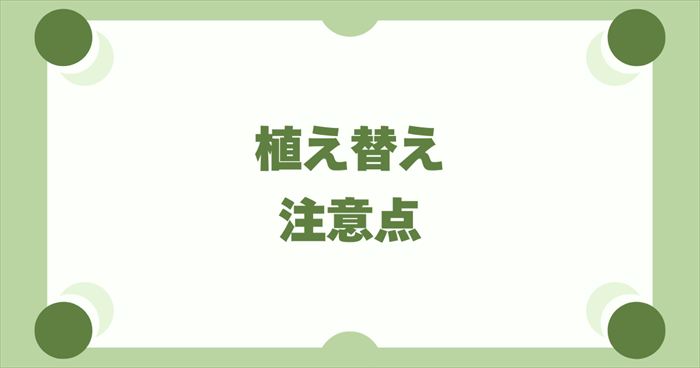 プランターやトロ箱でのらっきょう植え替えの注意点