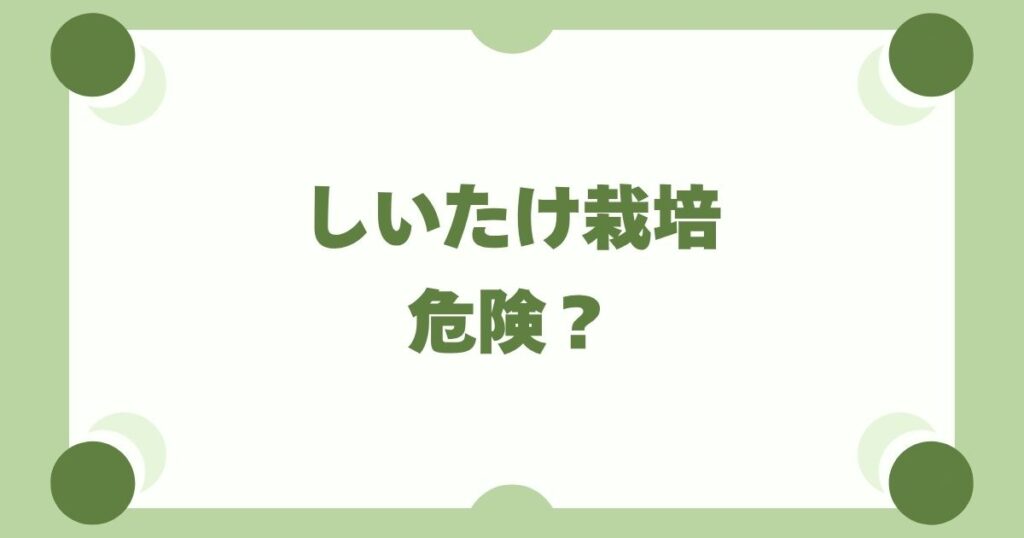 しいたけ栽培は危険？カビとアレルギーを防ぐ3つの安全対策