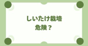 しいたけ栽培は危険？カビとアレルギーを防ぐ3つの安全対策