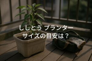ししとう プランターサイズの目安は？深さと容量の選び方