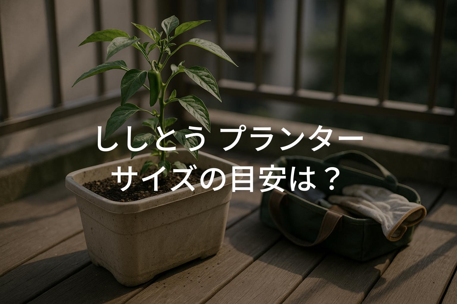 ししとう プランターサイズの目安は？深さと容量の選び方