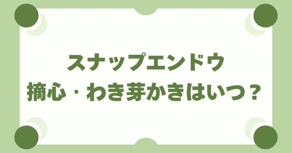 スナップエンドウ栽培の摘心・わき芽かきはいつ？初心者でもわかる正しい手順とタイミング