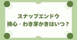 スナップエンドウ栽培の摘心・わき芽かきはいつ？初心者でもわかる正しい手順とタイミング