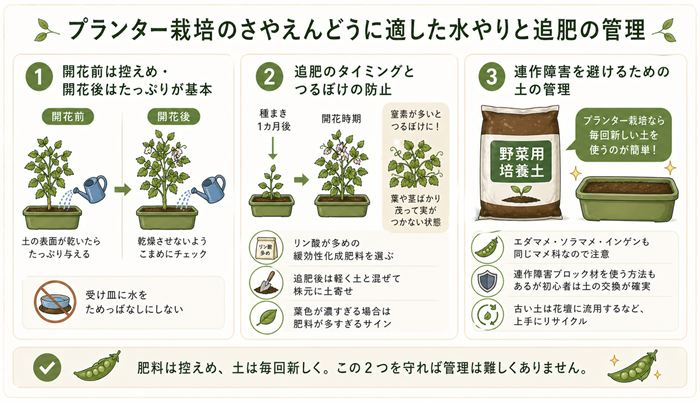 プランター栽培のさやえんどうに適した水やりと追肥の管理