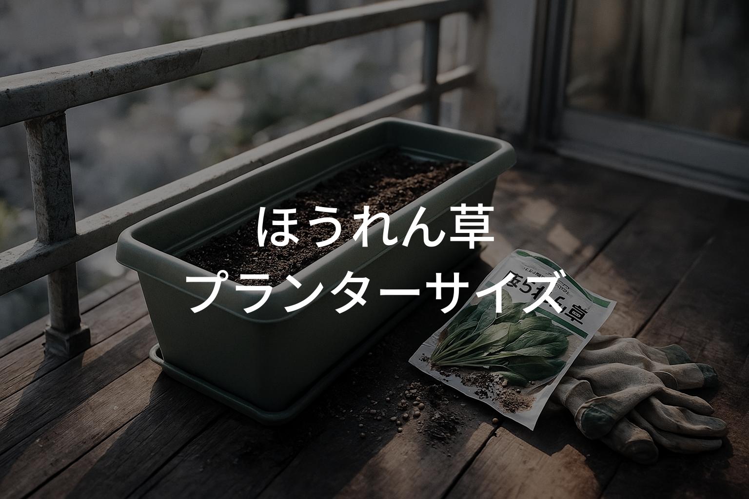 ほうれん草のプランターサイズガイド！育てやすい条件まとめ