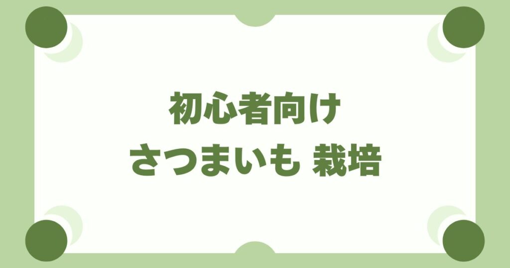 さつまいも栽培は初心者におすすめ！プランター・畑での育て方と失敗しないコツ