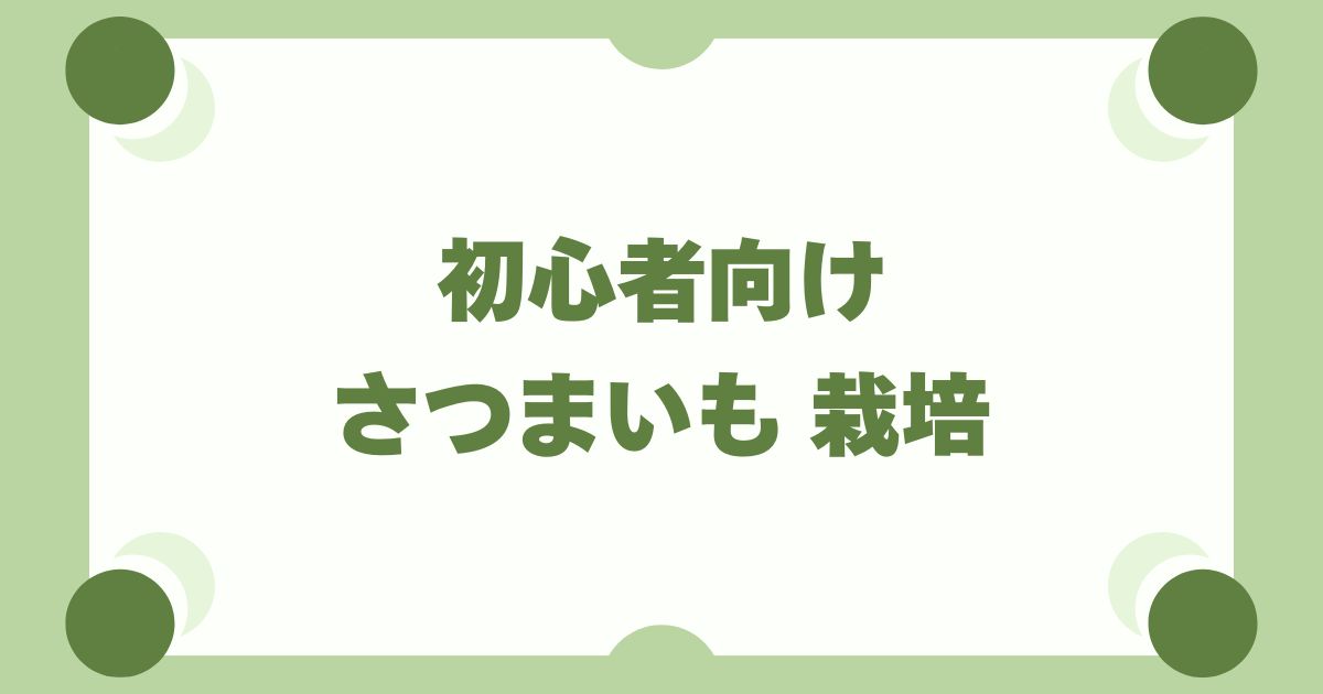 さつまいも栽培は初心者におすすめ！プランター・畑での育て方と失敗しないコツ