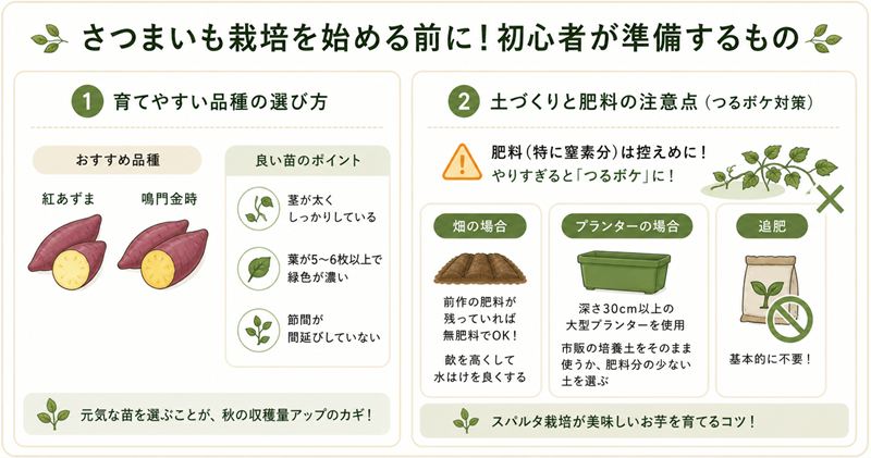 さつまいも栽培を始める前に！初心者が準備するもの