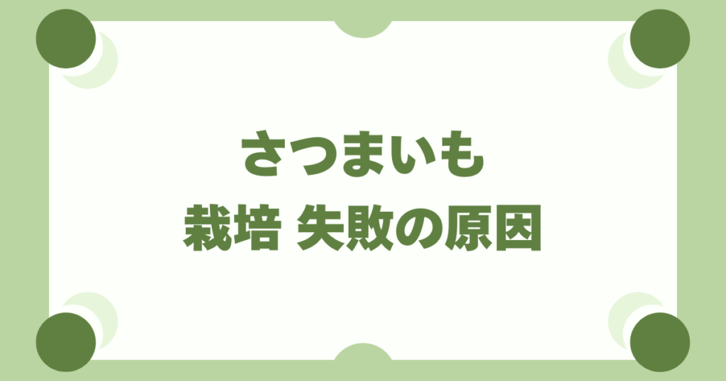【さつまいも栽培】失敗しないコツ！つるぼけの原因と正しい防ぎ方