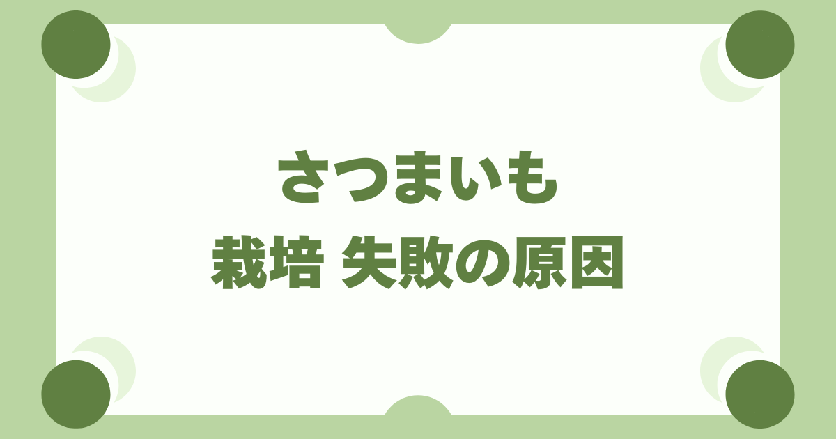 【さつまいも栽培】失敗しないコツ！つるぼけの原因と正しい防ぎ方