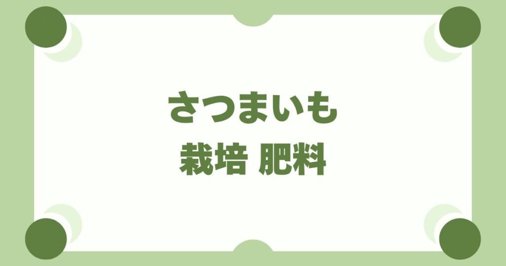 さつまいも栽培は肥料「控えめ」が鉄則！つるぼけを防ぐ元肥・追肥のコツ