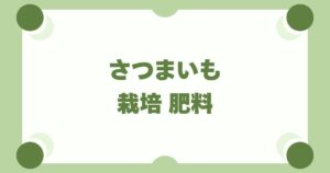 さつまいも栽培は肥料「控えめ」が鉄則！つるぼけを防ぐ元肥・追肥のコツ