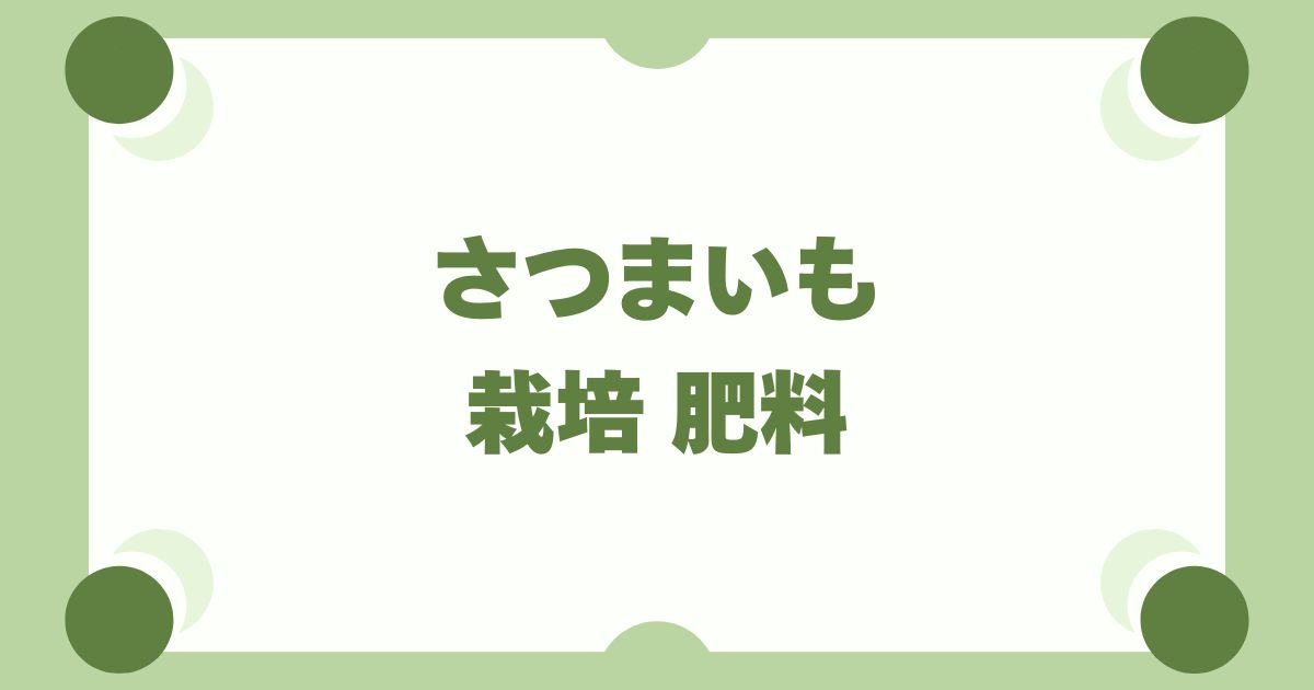 さつまいも栽培は肥料「控えめ」が鉄則！つるぼけを防ぐ元肥・追肥のコツ