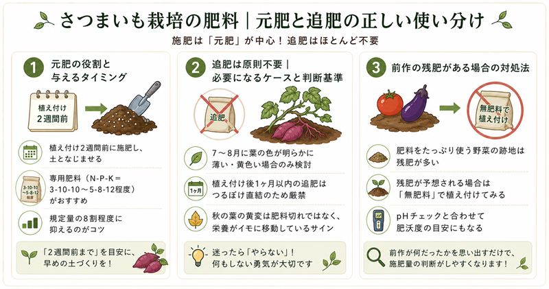 さつまいも栽培の肥料｜元肥と追肥の正しい使い分け