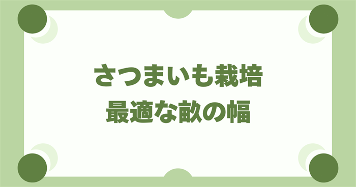 さつまいも栽培で最適な畝の幅の基本を知ろう