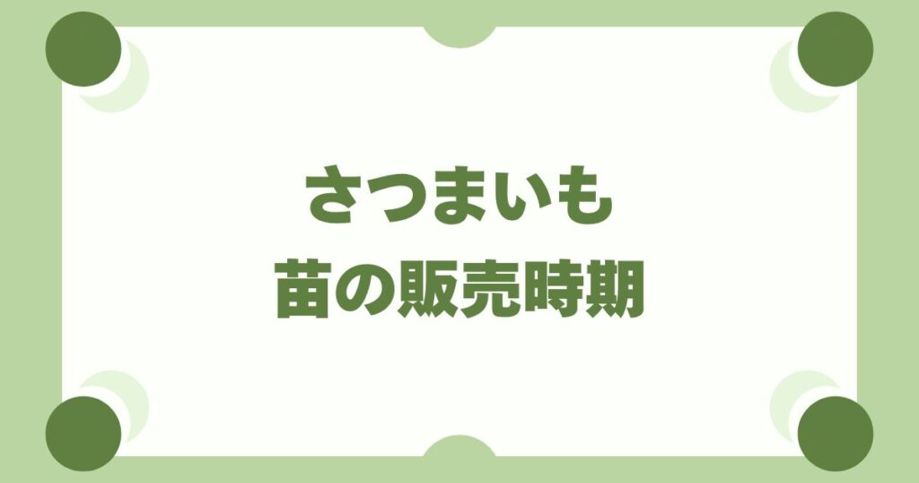 さつまいもの苗の販売時期はいつ？ホームセンター・通販の目安と保存方法
