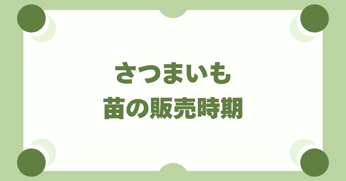 さつまいもの苗の販売時期はいつ？ホームセンター・通販の目安と保存方法