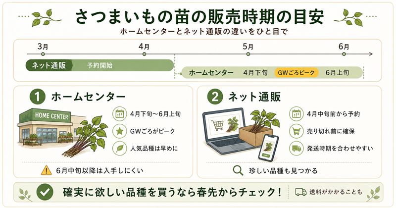 さつまいもの苗の販売時期はいつからいつまで？