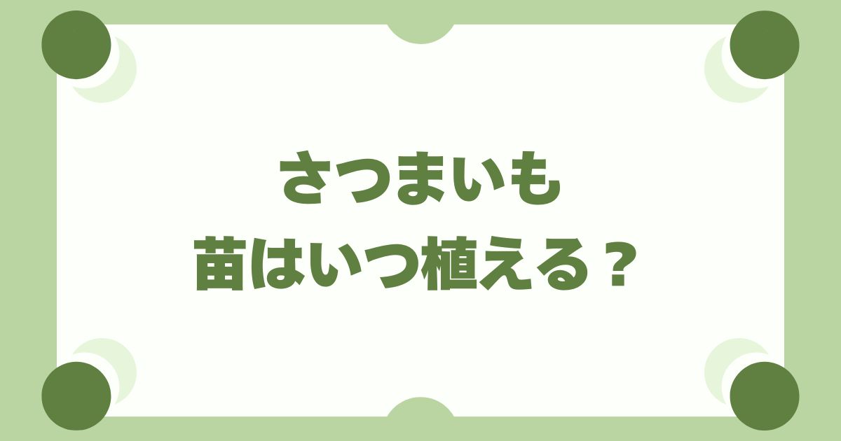 さつまいもの苗はいつ植える？地域別カレンダーと植え方のコツを徹底解説