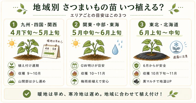 【地域別】さつまいもの苗を植える時期一覧