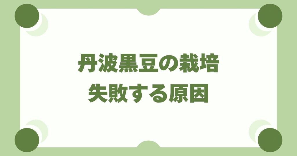 丹波黒豆の栽培で失敗する原因7選｜つるぼけ・実がならない対策を徹底解説