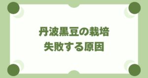 丹波黒豆の栽培で失敗する原因7選｜つるぼけ・実がならない対策を徹底解説