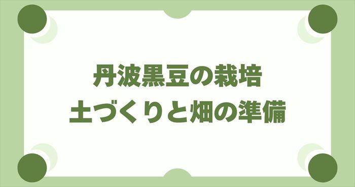 丹波黒豆の栽培で失敗しないための土づくりと畑の準備
