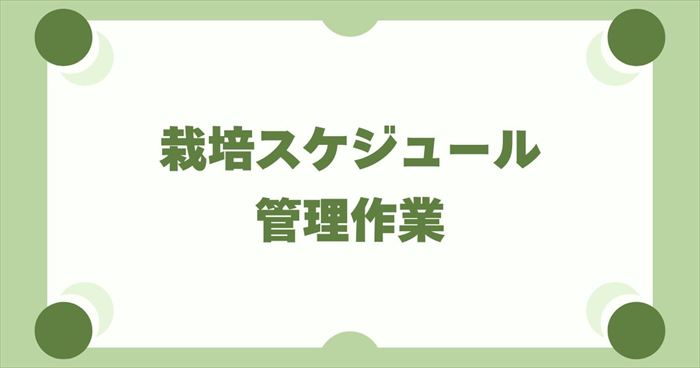 失敗を防ぐ栽培スケジュールと管理作業