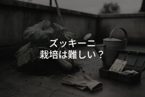 ズッキーニの栽培は難しい？初心者でも実がつく育て方とは